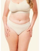 Sugar Candy Basic Bikini Brief Wholesale | Cake Maternity
