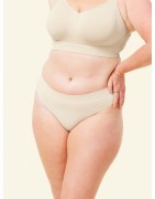 Sugar Candy Basic Bikini Brief Wholesale | Cake Maternity