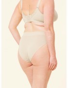 Sugar Candy Basic Bikini Brief Wholesale | Cake Maternity
