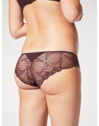 Truffles Lace Brief